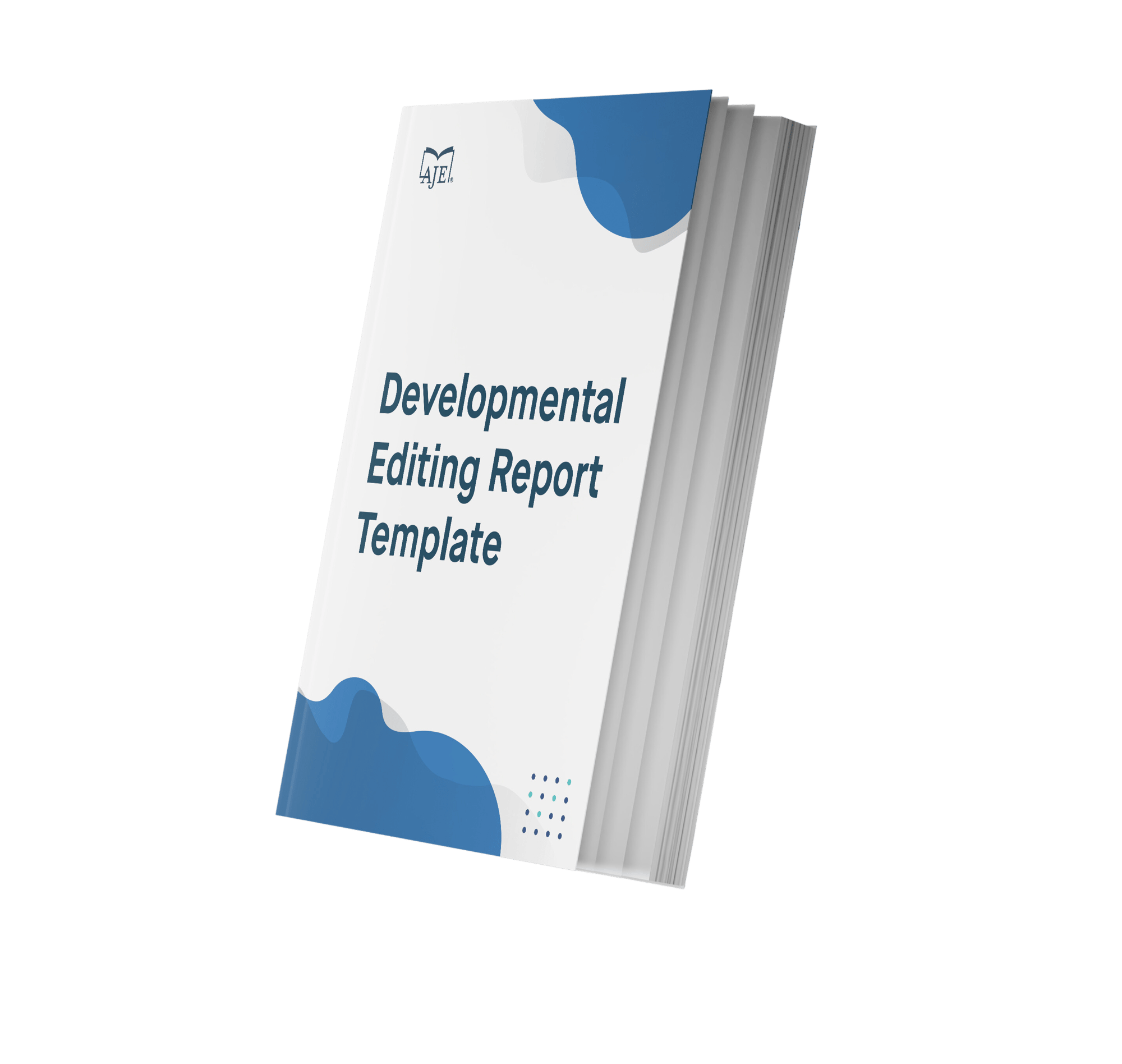 Developmental Editing Report Template - no shadow